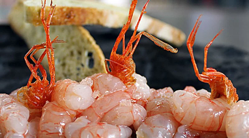 Tartar de gamba roja